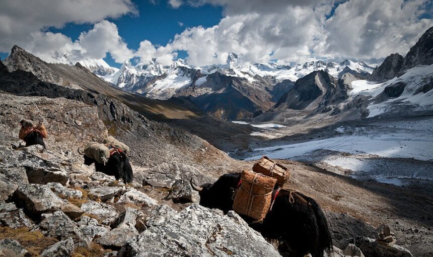 Dagala Thousand Lake Trek